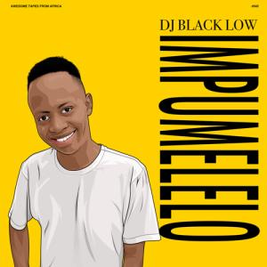 DJ BLACK LOW / IMPUMELELO (2LP)｜hafen