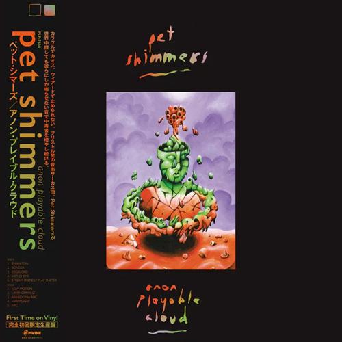 PET SHIMMERS / ANON PLAYABLE CLOUD (LP)