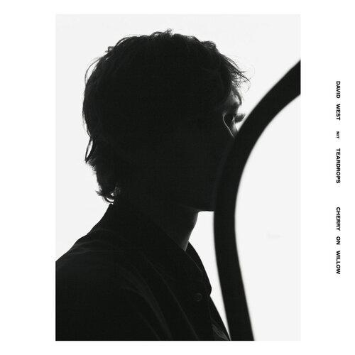 【SALE セール】DAVID WEST WITH TEARDROPS / CHERRY ON WI...