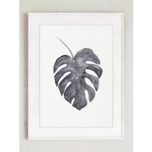 【ネコポス送料無料】COLOR WATERCOLOR | Monstera Deliciosa Art Print #1 | A4 アートプリント/ポスター｜hafen