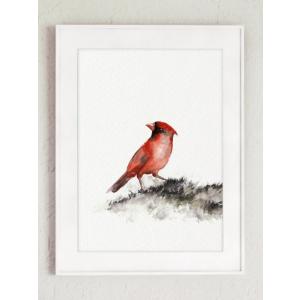 【ネコポス送料無料】COLOR WATERCOLOR | Birds Art Print | A4 アートプリント/ポスター｜hafen