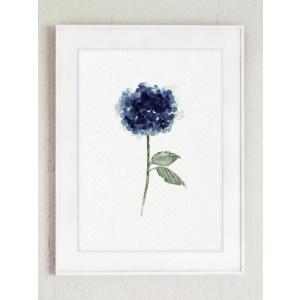COLOR WATERCOLOR | Hydrangea Flowers Art Print #3 | A3 アートプリント/ポスター｜hafen
