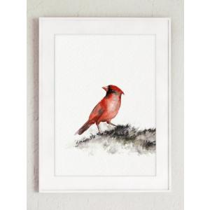 COLOR WATERCOLOR | Birds Art Print | A3 アートプリント/ポスター｜hafen