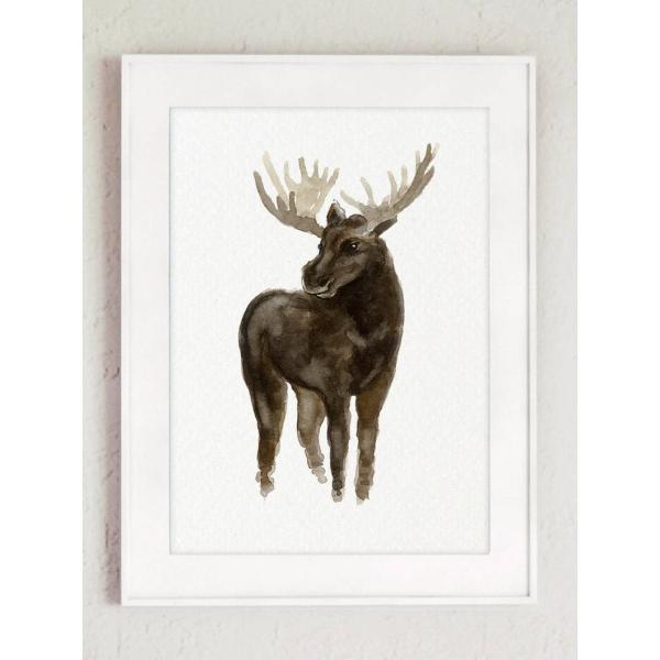 COLOR WATERCOLOR | Elk Art Print | A3 アートプリント/ポスター