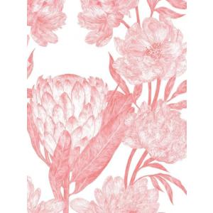 PROJECT NORD | PEONY SYMPHONY (by Dieu-Mi Hoang) |...