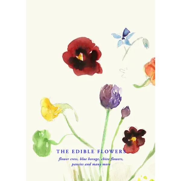 PAPER COLLECTIVE | THE EDIBLE FLOWERS (All The Way...