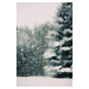 ALICIA BOCK PHOTOGRAPHY | WINTER DAYDREAM #3 | フォト...