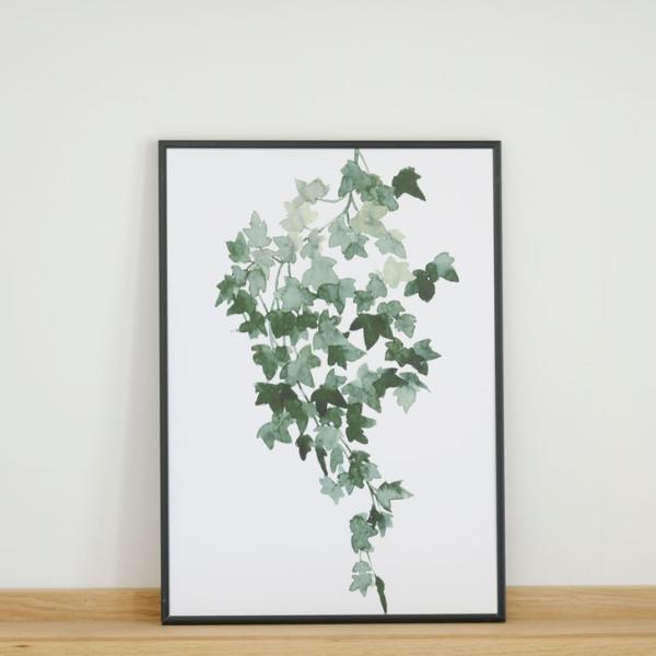 COLOR WATERCOLOR | Ivy Green Decor #2 | A3 アートプリント...