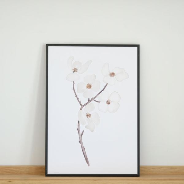 COLOR WATERCOLOR | White Dogwood | A3 アートプリント/ポスター...