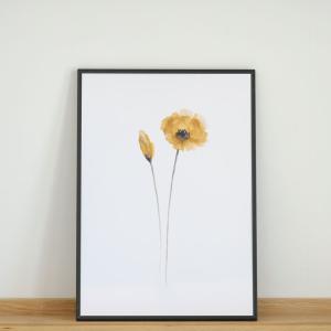 COLOR WATERCOLOR | Yellow Poppy | A3 アートプリント/ポスター 北欧 シンプル おしゃれ｜hafen