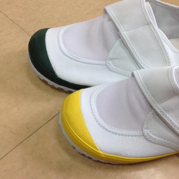 教育パワーシューズ（うわばき）　黄・緑