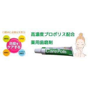 プロポリス 歯磨き粉 ケアポリス 7g 携帯 ...の詳細画像2