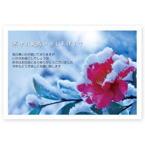 私製 10枚 寒中見舞いはがきn（yukigray-end）【年賀状じまい文章印刷