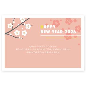 年賀状 2026年 午年 うま年 馬 私製年賀はがき 5枚 ne072 : ハガキ