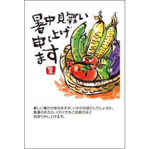 官製はがき 10枚 暑中見舞い ハガキ 夏 挨拶状 葉書 暑中
