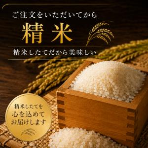 新米5kg 夢しずく 白米 佐賀県産 令和8年...の詳細画像3