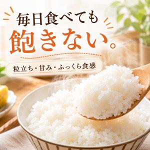 米 10kg さがびより 白米 5kg×2袋 ...の詳細画像1