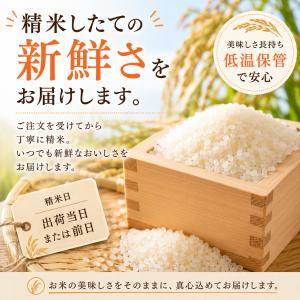 米 10kg さがびより 白米 5kg×2袋 ...の詳細画像4