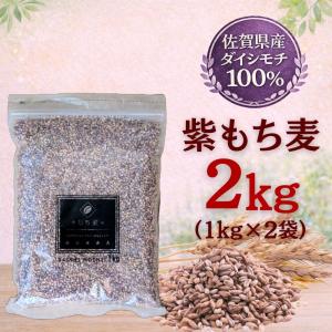 ダイシモチ 紫もち麦 三重県産 900g お試し ポイント利用 送料無料