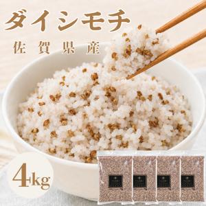 紫もち麦 4kg 国産100% ダイシモチ 雑穀 1kg×4袋 ジップ付き 佐賀県産 送料無料 食物繊維 βグルカン アントシアニン ポリフェノール 五つ星お米マイスター厳選