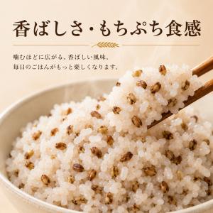 紫もち麦 4kg 国産100% ダイシモチ 雑...の詳細画像1