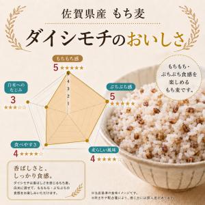 紫もち麦 4kg 国産100% ダイシモチ 雑...の詳細画像2