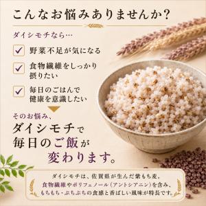 紫もち麦 4kg 国産100% ダイシモチ 雑...の詳細画像3