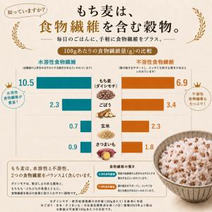 紫もち麦 4kg 国産100% ダイシモチ 雑...の詳細画像4