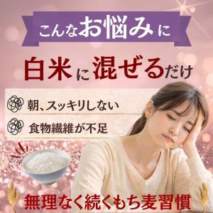 もち麦 国産 1.5kg (300g×5袋) ...の詳細画像2