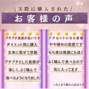 もち麦 国産 1.5kg (300g×5袋) ...の詳細画像5