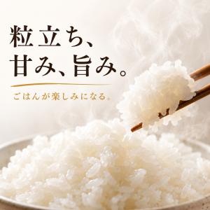 無洗米 8kg さがびより【真空パック】 2k...の詳細画像4