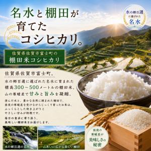 新米【無洗米】コシヒカリ 真空パック 8kg(...の詳細画像1
