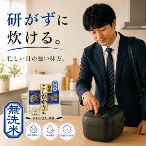 新米【無洗米】コシヒカリ 真空パック 8kg(...の詳細画像2