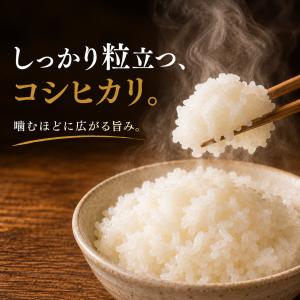新米【無洗米】コシヒカリ 真空パック 8kg(...の詳細画像3