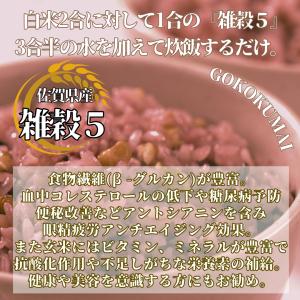 『雑穀5』 900g 大塚米穀店 通販 国産 ...の詳細画像1