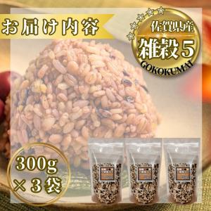 『雑穀5』 900g 大塚米穀店 通販 国産 ...の詳細画像4