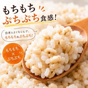 もち麦 国産 キラリモチ 2kg(1kg×2袋...の詳細画像3