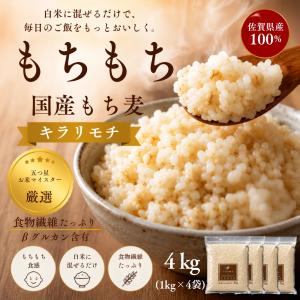 SUPER FOODS JAPAN（スーパーフーズジャパン） もち麦 国産 ダイシモチ