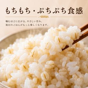 もち麦 4kg 国産100% キラリモチ 雑穀...の詳細画像1