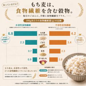 もち麦 4kg 国産100% キラリモチ 雑穀...の詳細画像4