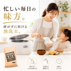 さがびより 無洗米 3kg 五つ星お米マイスタ...の詳細画像1