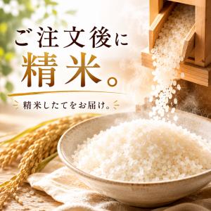 さがびより 無洗米 3kg 五つ星お米マイスタ...の詳細画像4