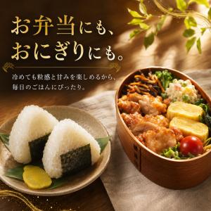 米 5kg 無洗米 さがびより 送料無料 特A...の詳細画像3