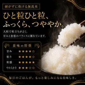 米 5kg 無洗米 さがびより 送料無料 特A...の詳細画像5