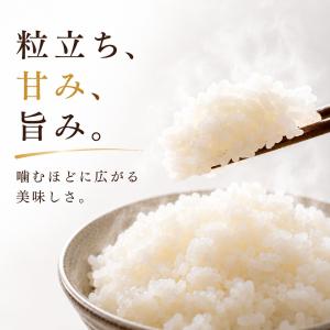 米 10kg 無洗米 さがびより 5kg×2袋...の詳細画像2
