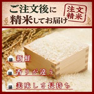 業務用 無洗米 20kg(10kg×2袋) さ...の詳細画像2