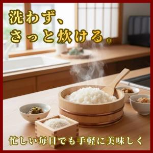 業務用 無洗米 20kg(10kg×2袋) さ...の詳細画像3