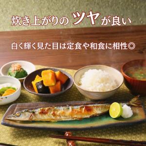 業務用 無洗米 20kg(10kg×2袋) さ...の詳細画像5