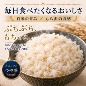雑穀米 10kg 無洗米+もち麦 国産 【8:...の詳細画像3