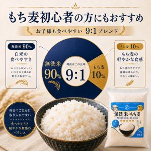 無洗米+もち麦 10kg 【9:1 初心者向】...の詳細画像1